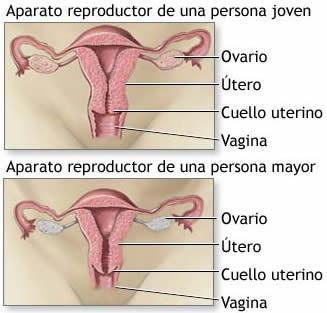 Matriz la medicina natural mioma en